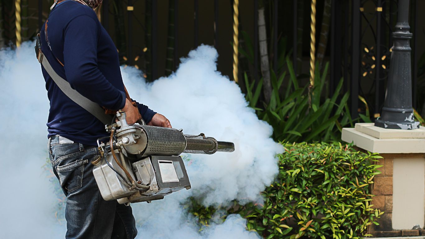 mosquito-control-after